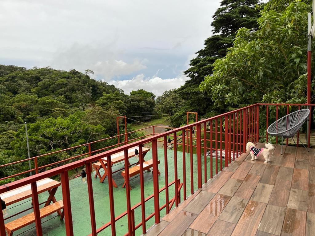 Monteverde Monkey Hostel Exteriér fotografie